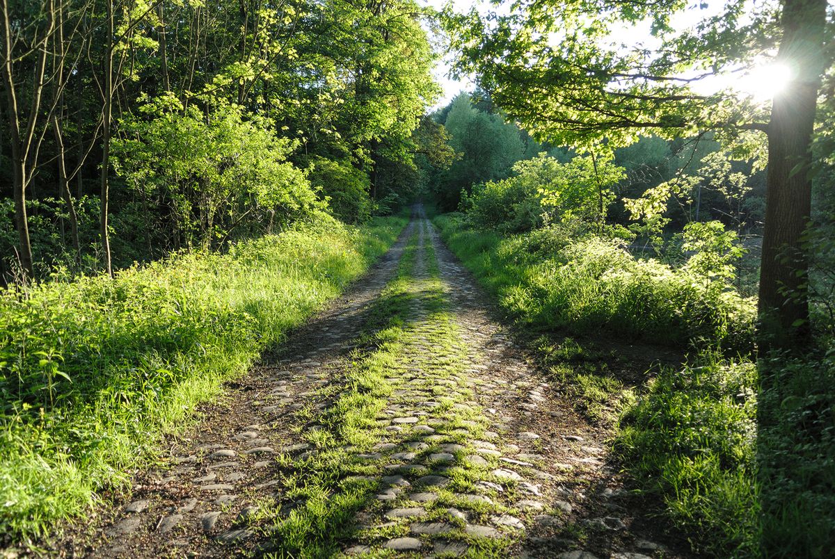 J'aime beaucoup me balader dans les environs pour avoir des surprises avec les jeux de lumières lors de la Golden Hour. Ici, c'est un ancien chemin, de l'époque de ma grand-mère, lorsqu'elle avait vingt ans.