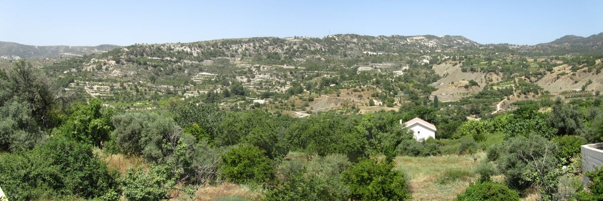 Overlooking wine vineyard in cyprus