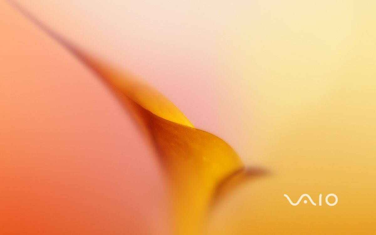 VAIO Cozy Orange 1280x800.jpg